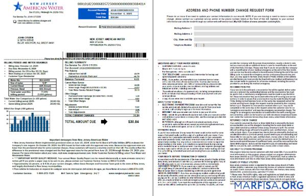 Downloadable USA American Water utility bill template in Word and PDF formats, 2 pages, version 2